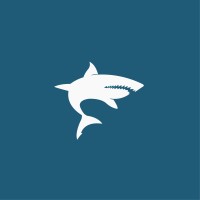 Shark Media logo - Similar company to Shark Media