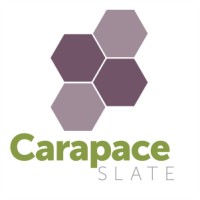 Carapace Slate logo - Similar company to Winpos - Uk