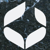 Ryniant logo - Similar company to Azyouthforce