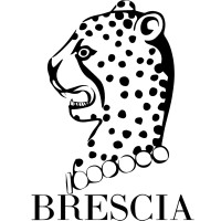 Brescia NYC logo - Similar company to Elliott Berman Textiles
