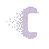 Celerity Fiber logo - Similar company to Skywire