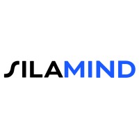 SILAMIND | Microsoft Partner logo - Similar company to Silamir Group