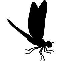 Dragonfly Engineering Bucharest