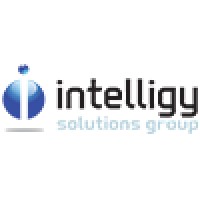 Intelligy Solutions Group logo - Similar company to Intelligy 3Dcare