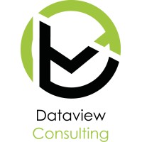 Dataview Consulting logo - Similar company to Data View - Llc