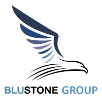 BluStone Group logo - Similar company to Propractice Solutions
