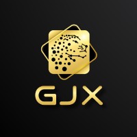 GJX logo - Similar company to Abcdatasolutions