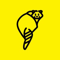 Raccoonsocks logo - Similar company to Team Falake