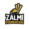 Zalmi Foundation logo - Similar company to Bright Solution Computer