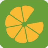 Groots Foods Ventures Private Limited logo - Similar company to Radical Geeks Technologies Pvt Ltd