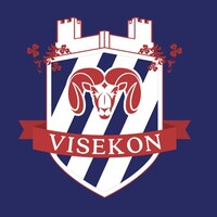 Visekon logo - Similar company to Cefyrekon