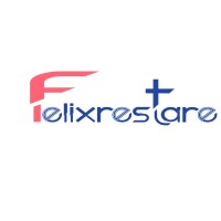 Felixrestare logo - Similar company to Sk Datatech