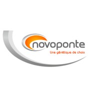 NOVOPONTE logo - Similar company to Sas Pericco
