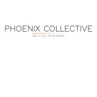 Phoenix Collective logo - Similar company to Kamuses Consultancy