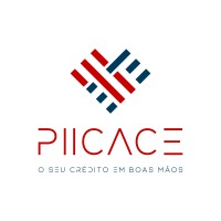 Piicace logo - Similar company to Technojet Hydro Systems