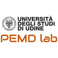 PEMD - Power Electronic Converters, Electrical Machines and Drives laboratory @UniUD logo - Similar company to Plecs