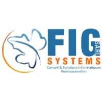 Fig systems logo - Similar company to Baks Technology Services