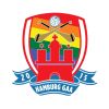 Hamburg GAA Club e.V. logo - Similar company to Cologne Celtics Gaelic Sports Club E.V.