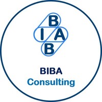 BIBA Consulting logo - Similar company to Space School