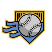 Pittsburgh Hardball Academy logo - Similar company to Bk Advisory