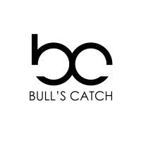 Bull's Catch Securities logo - Similar company to Alpha Plus Capital