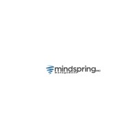 MindSpring Management Group Inc.