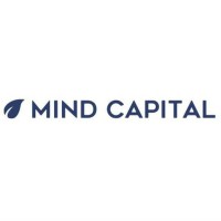 MindCapital logo - Similar company to Mindcapital