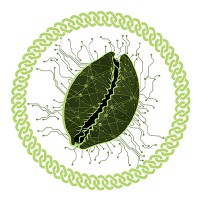 Payme Group logo - Similar company to Epin
