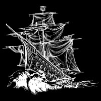 Pirata Capital Management logo - Similar company to Ico Alert