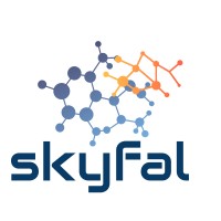 Skyfal Security Systems logo - Similar company to Alkaysarcom