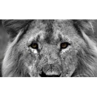 YGQ Solutions logo - Similar company to Stratozen, Inc.