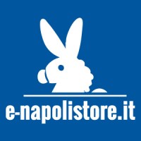 Napolistore logo - Similar company to Workroomgroup