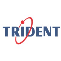 Trident Information Systems logo - Similar company to Tectura