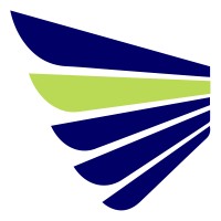 Capit'Vize logo - Similar company to Mavie Technologies