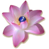 Soul Mind Body Alignment LLC logo - Similar company to Mind Body Soul Wellness