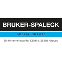 Bruker-Spaleck GmbH logo - Similar company to Psm Protech