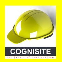 Cognisite Technologies pvt ltd logo - Similar company to Anagatam Technologies