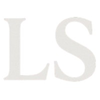 LevStrategies logo - Similar company to Otw Canada
