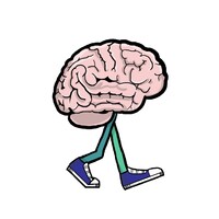 Brain Arts Organization Inc