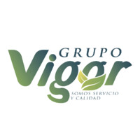 Grupo Vigor S.R.L logo - Similar company to Grupo Vigo