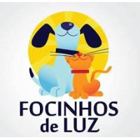 Focinhos de Luz logo - Similar company to Patinhas Online