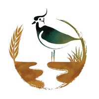 Wildlife Illustrations Hong Kong