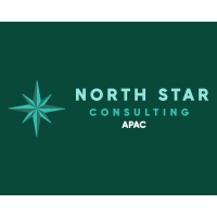 North Star Consulting APAC logo - Similar company to Folo Travel Ltd