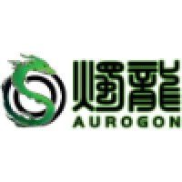 上海烛龙信息科技有限公司