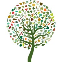 Climate Action Tai Tokerau logo - Similar company to Planet Pact