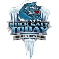 ROCK SALT TODAY logo - Similar company to Online Rock Salt