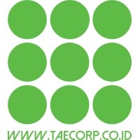 TAE Corporation logo - Similar company to Alternative Intelligence