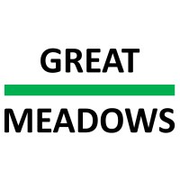 Great Meadows Capital LLC logo - Similar company to Cove Lane Partners Lp