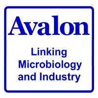 Avalon International Corporation logo - Similar company to West Development Group Llc