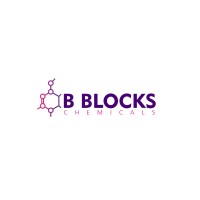 BBlocks Chemicals logo - Similar company to Ln Pharma